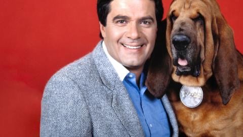 Simon Townsend with Woodrow the Bloodhound on Wonder World